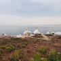 20180616_163951